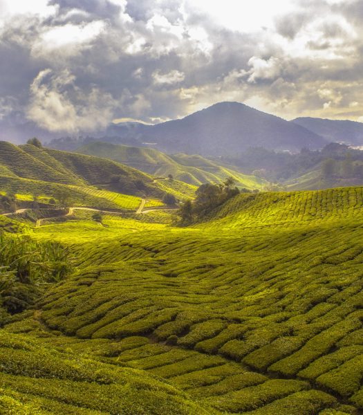 peaceful valley and rolling hills